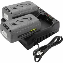 Coupon 🛒 Snow Joe And Sun Joe 40V Dual Battery Charger 🛒