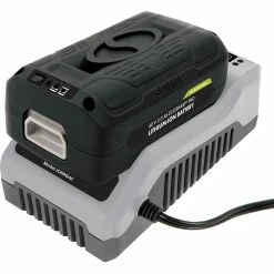 Coupon 💯 Snow Joe + Sun Joe 40V 5.0 Ah Li-Ion Battery 🧨 -Patio Garden Garage Sales unnamed file 1141