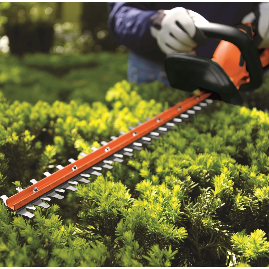 Cheapest 😍 Black + Decker 20V MAX Lithium 22 In. Hedge Trimmer 🤩 6 Cheapest 😍 Black + Decker 20V MAX Lithium 22 In. Hedge Trimmer 🤩 - Image 4
