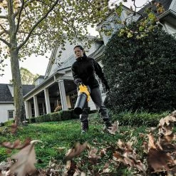 Wholesale ❤️ DeWalt 60V* MAX Brushless Handheld Axial Blower 🌟 -Patio Garden Garage Sales unnamed file 1747