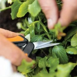 Best reviews of 🧨 Fiskars Micro Tip Pruning Snips 😍 -Patio Garden Garage Sales unnamed file 749