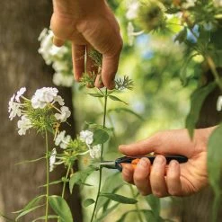 Best reviews of 🧨 Fiskars Micro Tip Pruning Snips 😍 -Patio Garden Garage Sales unnamed file 750