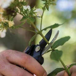 Discount 😀 Fiskars Floral Pruner 🎉 -Patio Garden Garage Sales unnamed file 812