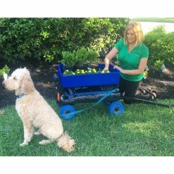 Buy 👏 Other Brands Mighty Max Cart, Blue 🔥 -Patio Garden Garage Sales unnamed file 906